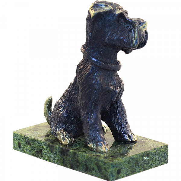 224026 - Собака Ризеншнауцер большой